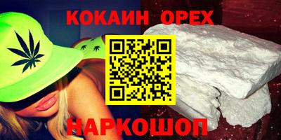 Альфа ПВП Кандалакша