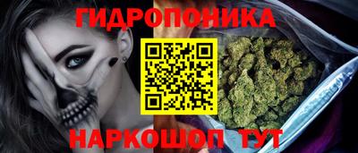 ГАЛЛЮЦИНОГЕННЫЕ ГРИБЫ Канаш