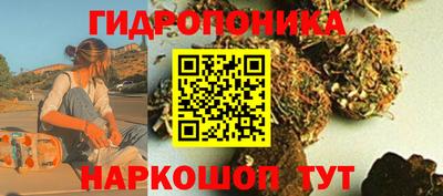 Альфа ПВП Кандалакша